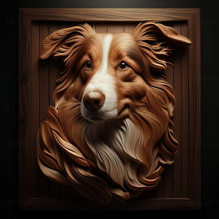 English Shepherd dog